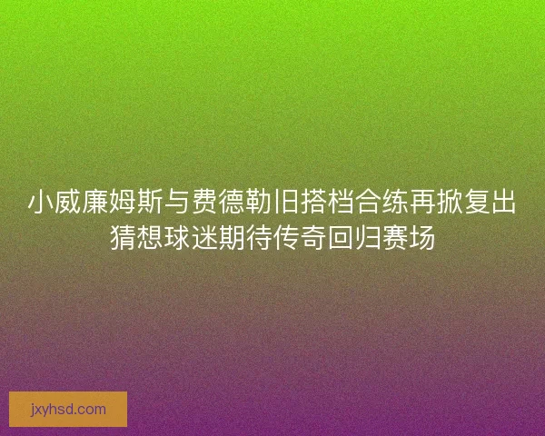 小威廉姆斯与费德勒旧搭档合练再掀复出猜想球迷期待传奇回归赛场